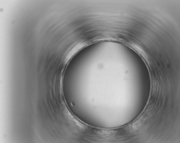 X0000088601290200706011153