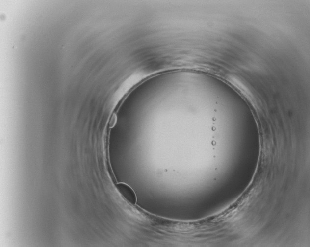 X0000088601291200706011153