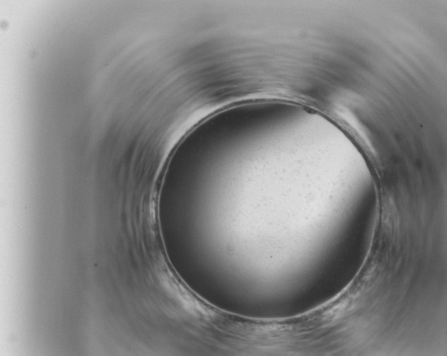 X0000088601292200706011153