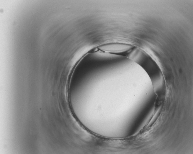 X0000088601293200706011153