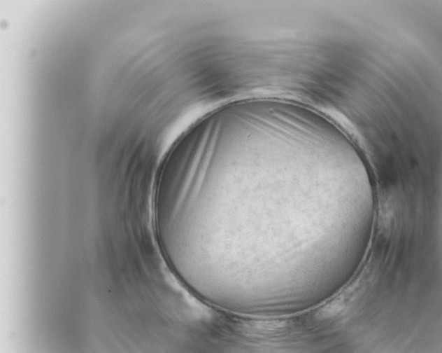 X0000088601294200706011153