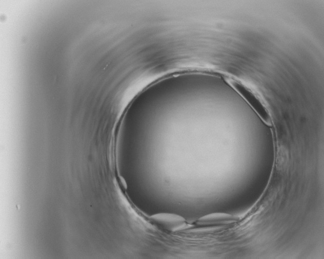 X0000088601295200706011153