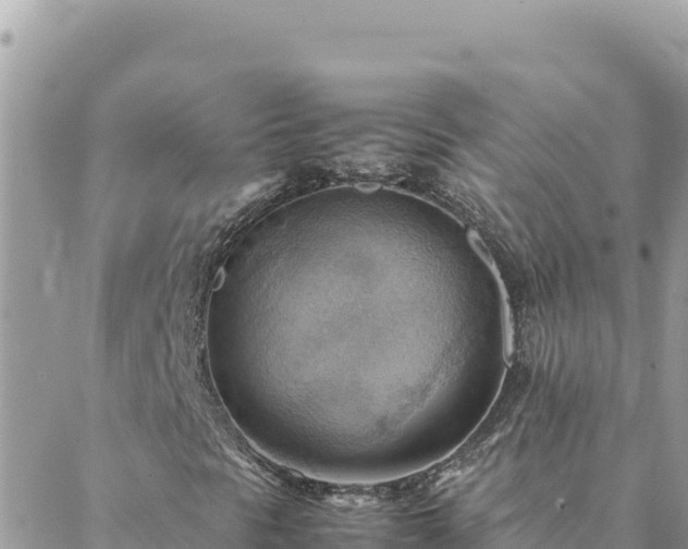 X0000088601297200706011152