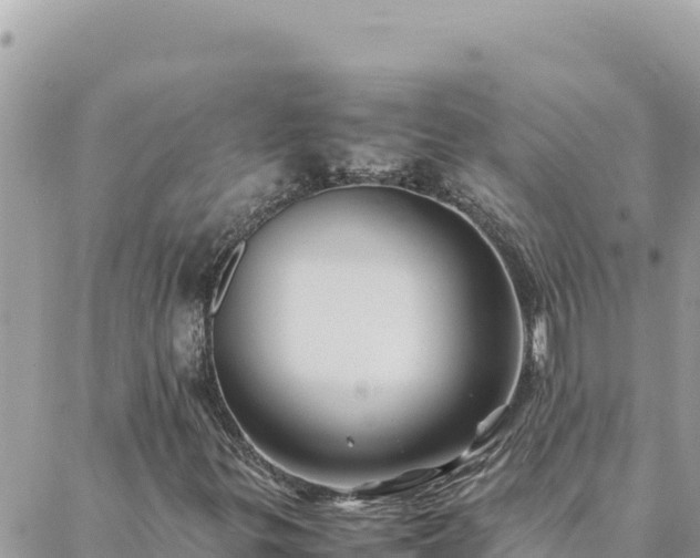 X0000088601299200706011152