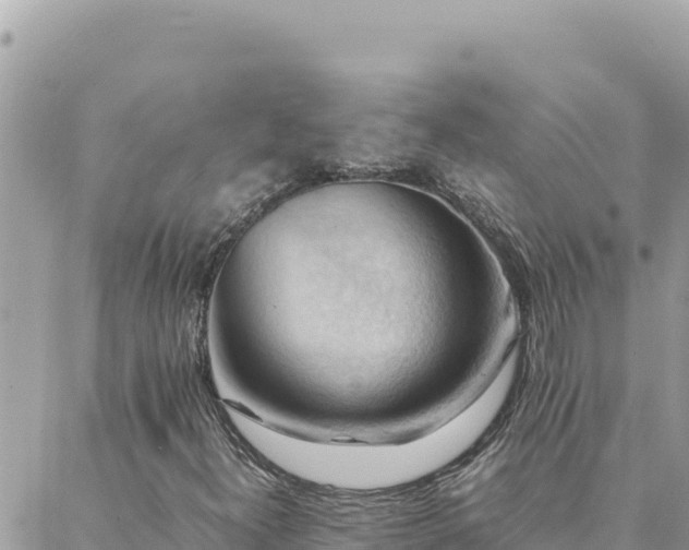 X0000088601300200706011152