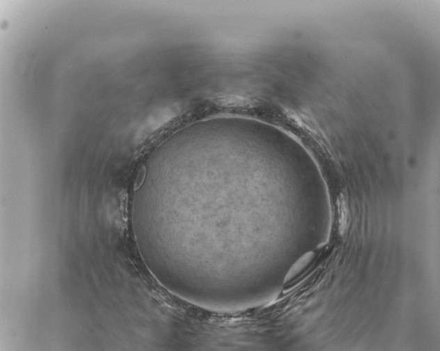 X0000088601301200706011152