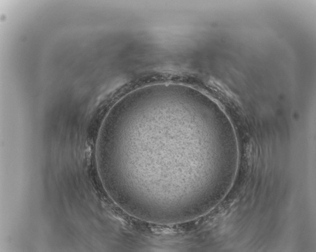 X0000088601302200706011152