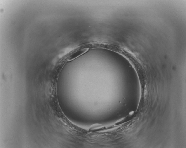 X0000088601303200706011152