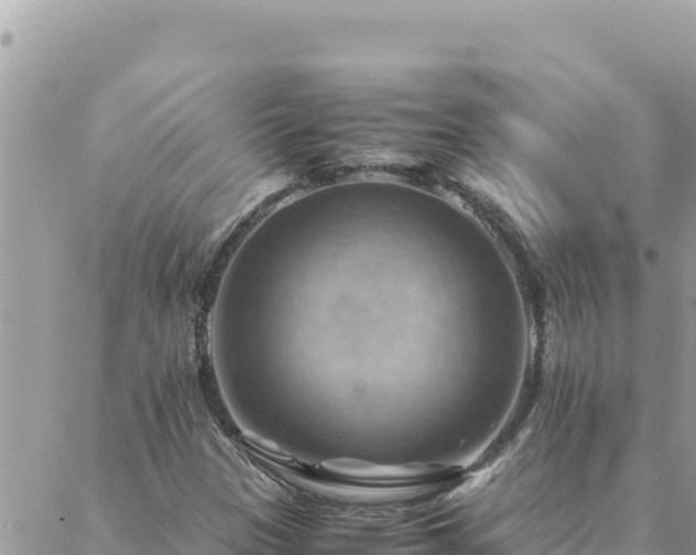 X0000088601305200706011152