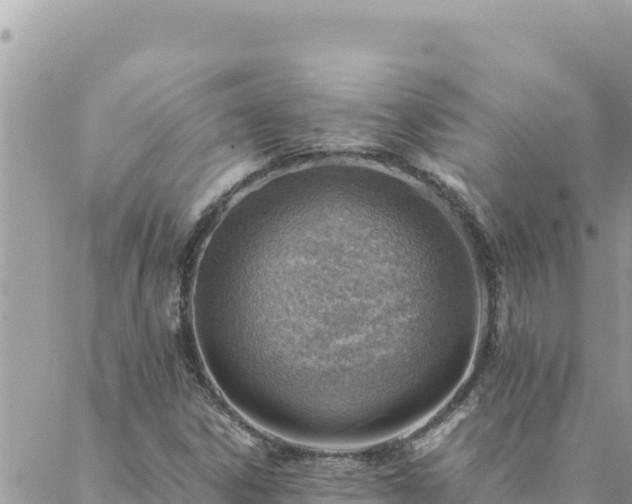 X0000088601306200706011152