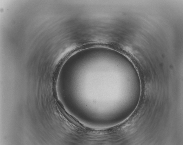 X0000088601307200706011152