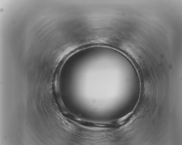 X0000088601308200706011152