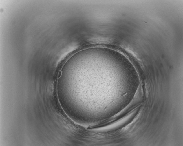 X0000088601309200706011152