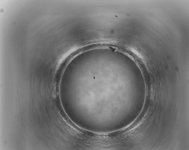 X0000088601310200706011152