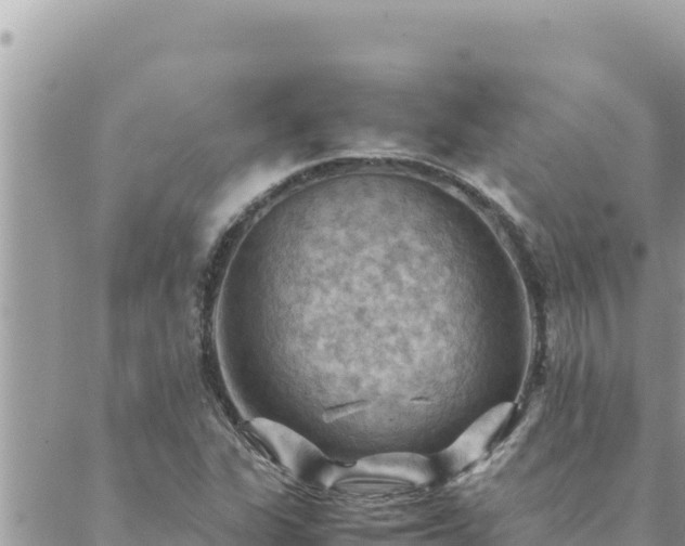 X0000088601311200706011153