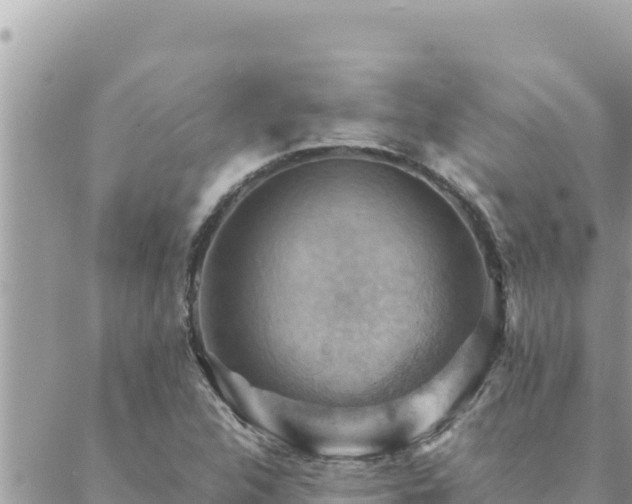 X0000088601312200706011153