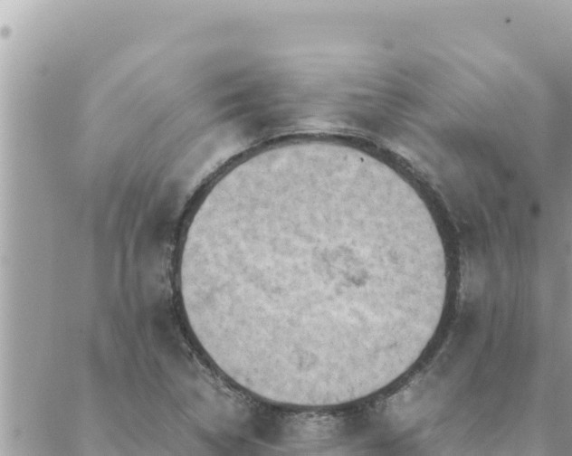 X0000088601314200706011153