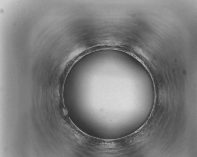 X0000088601315200706011153