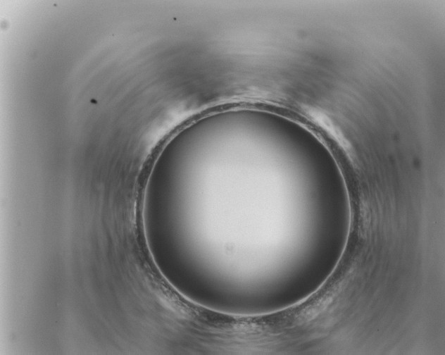 X0000088601316200706011153