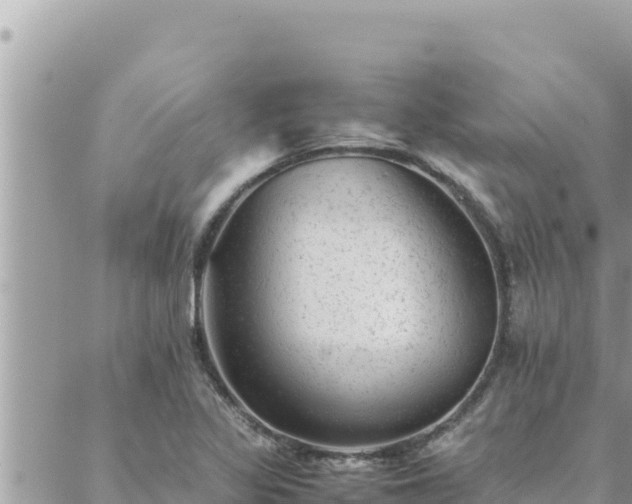 X0000088601317200706011153