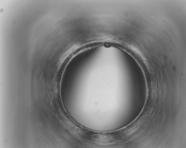 X0000088601318200706011153