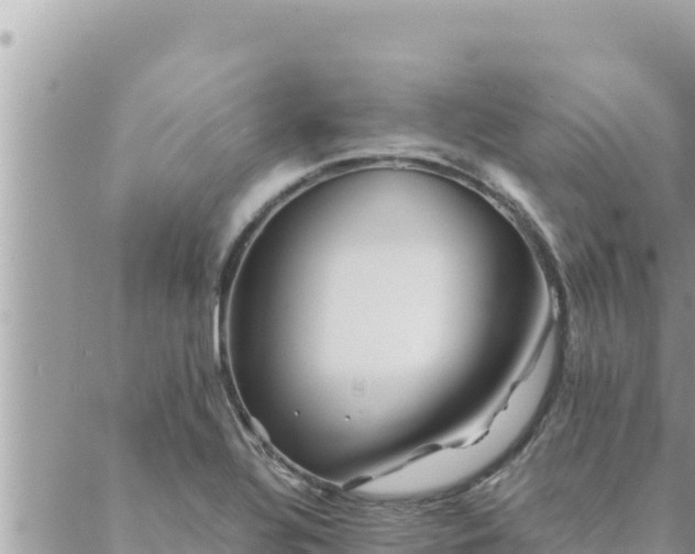 X0000088601320200706011153