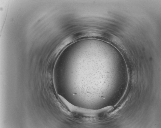 X0000088601321200706011153