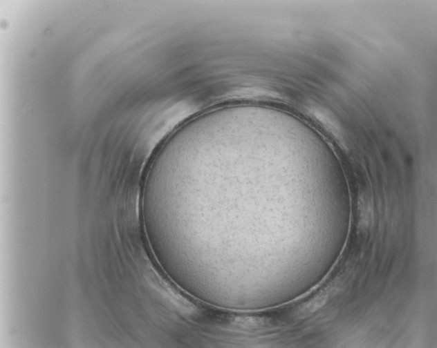 X0000088601322200706011153