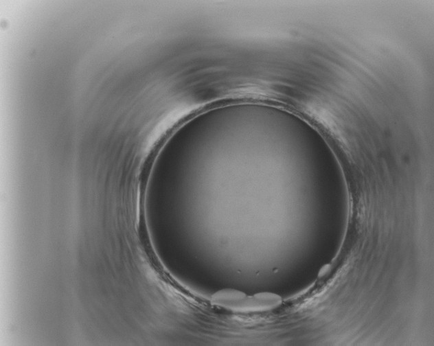 X0000088601323200706011153