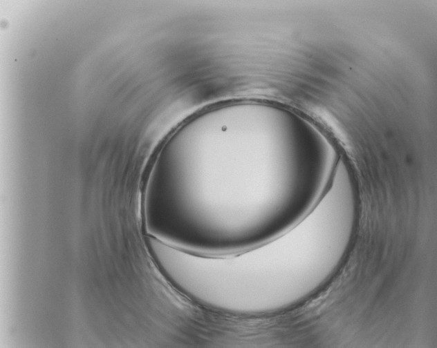 X0000088601324200706011153