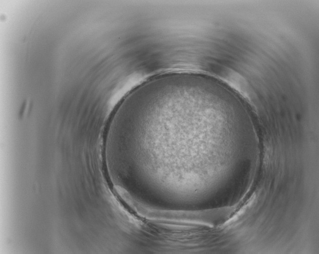 X0000088601325200706011153