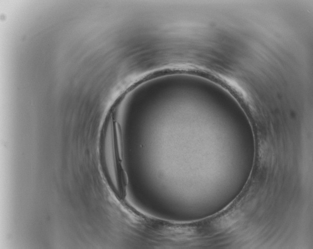 X0000088601327200706011153