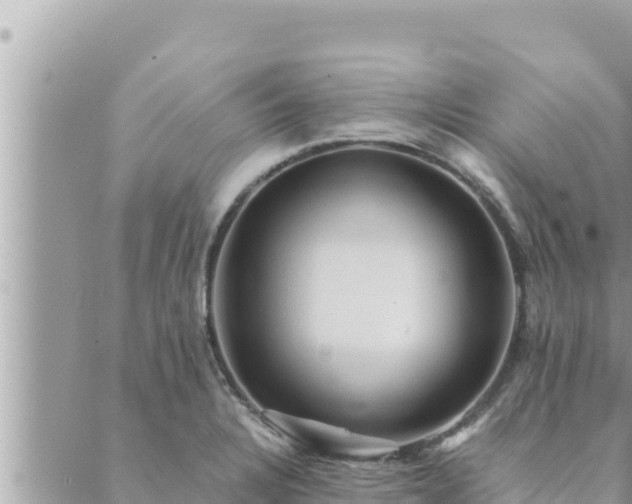 X0000088601328200706011153