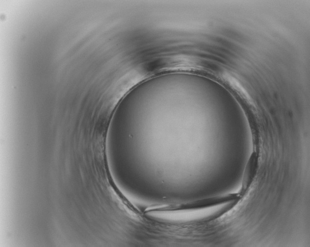 X0000088601329200706011153