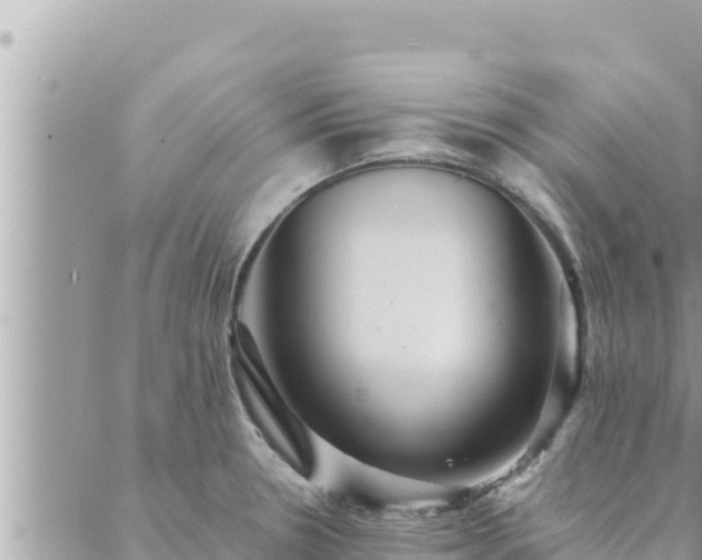 X0000088601330200706011153