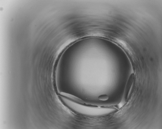 X0000088601331200706011153