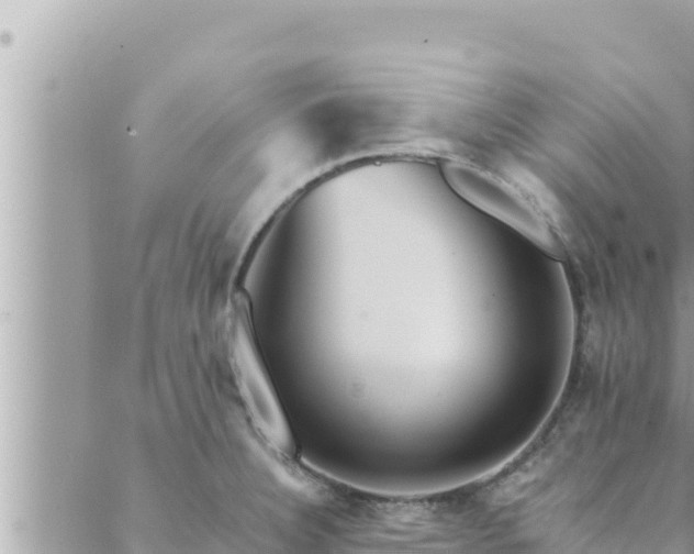 X0000088601332200706011153