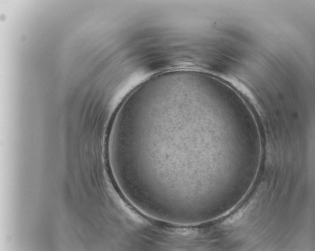 X0000088601333200706011153