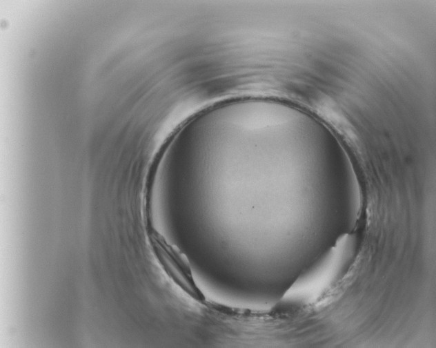 X0000088601334200706011153