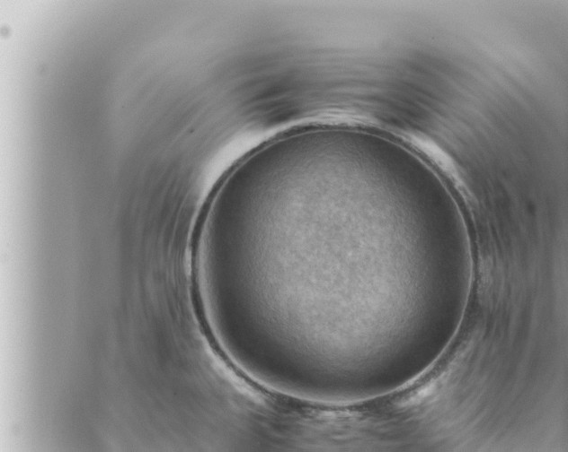 X0000088601335200706011153