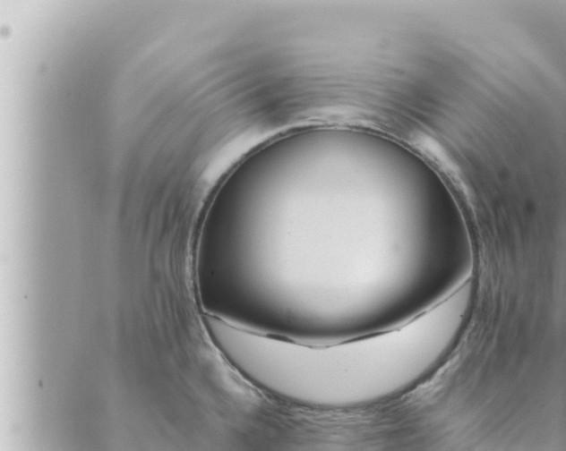 X0000088601336200706011153