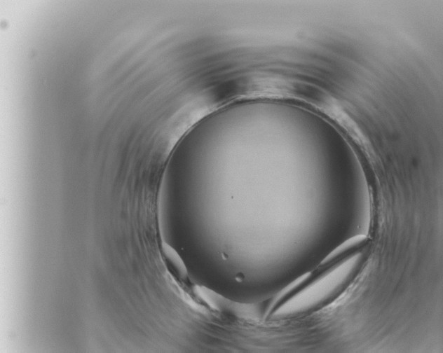 X0000088601337200706011153