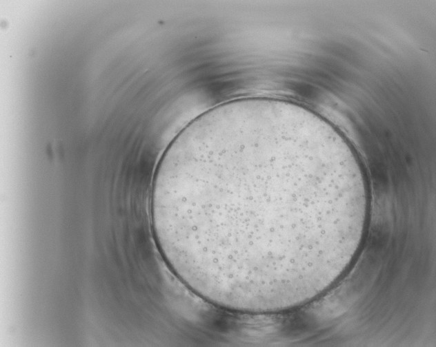 X0000088601338200706011153