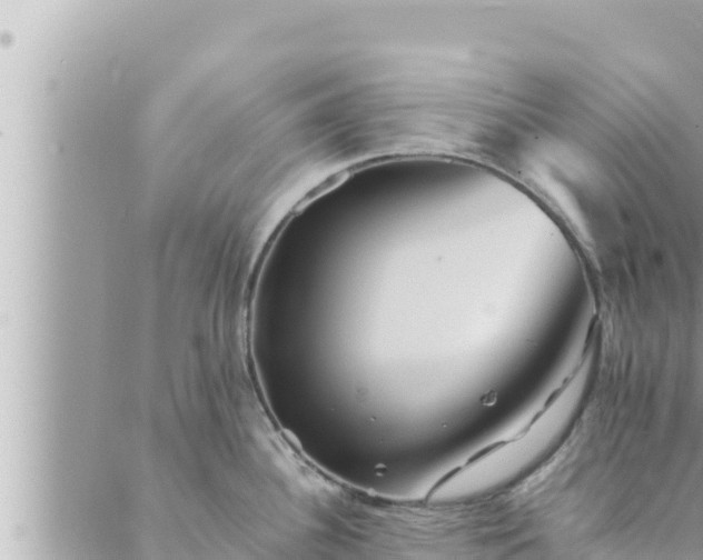 X0000088601340200706011153