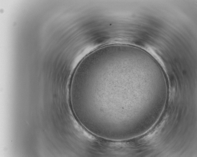 X0000088601341200706011153