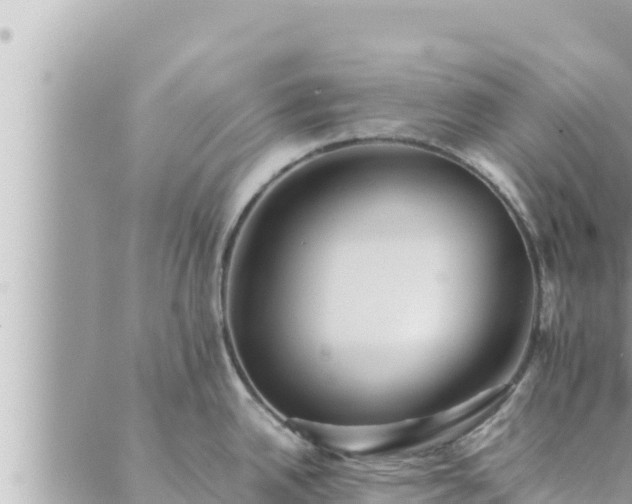 X0000088601342200706011153