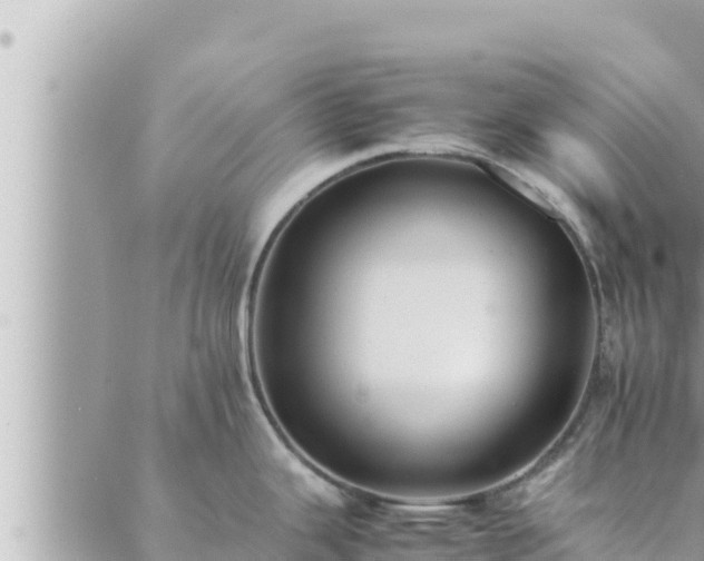 X0000088601343200706011153