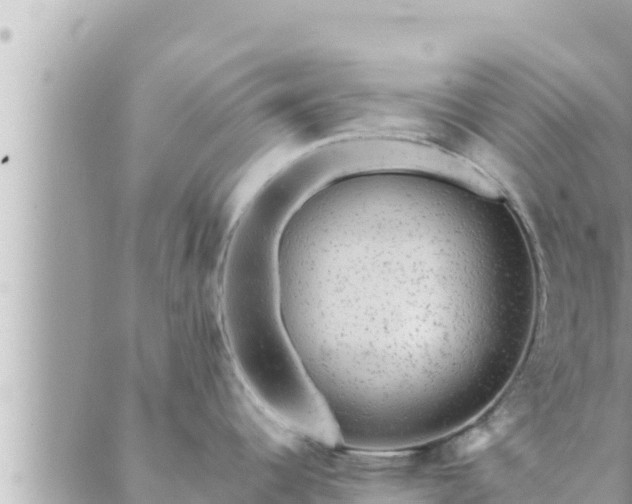 X0000088601344200706011153