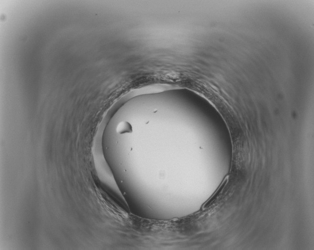 X0000088601345200706011152