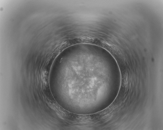 X0000088601346200706011152